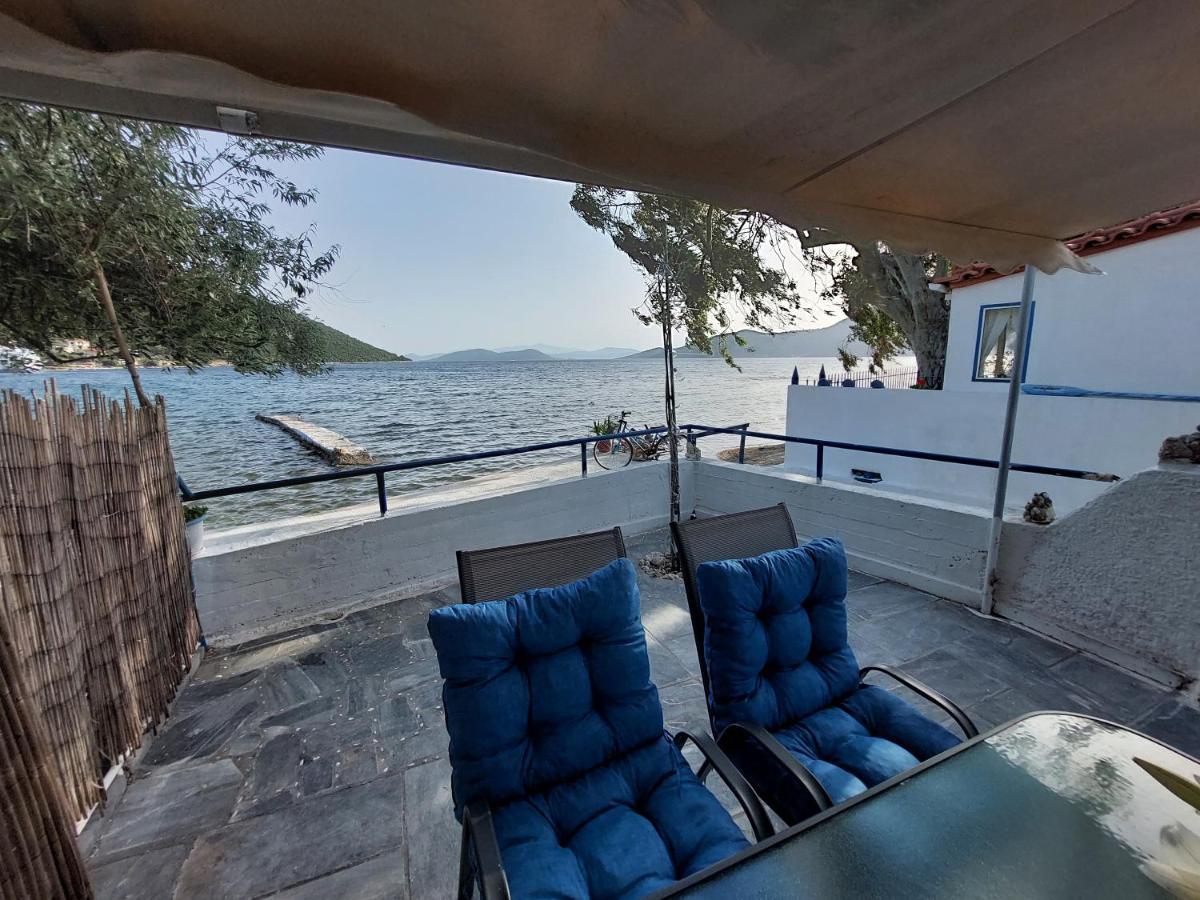 Vitamin Sea House Apartment