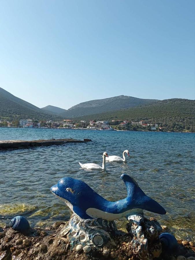 Vitamin Sea House Panagia (Evia)